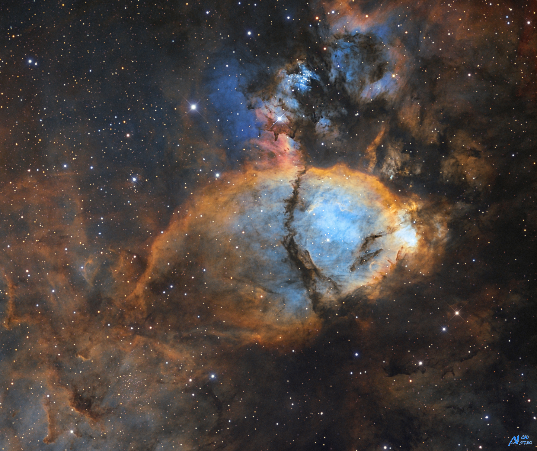IC 1795-SHO-V1 Cropped