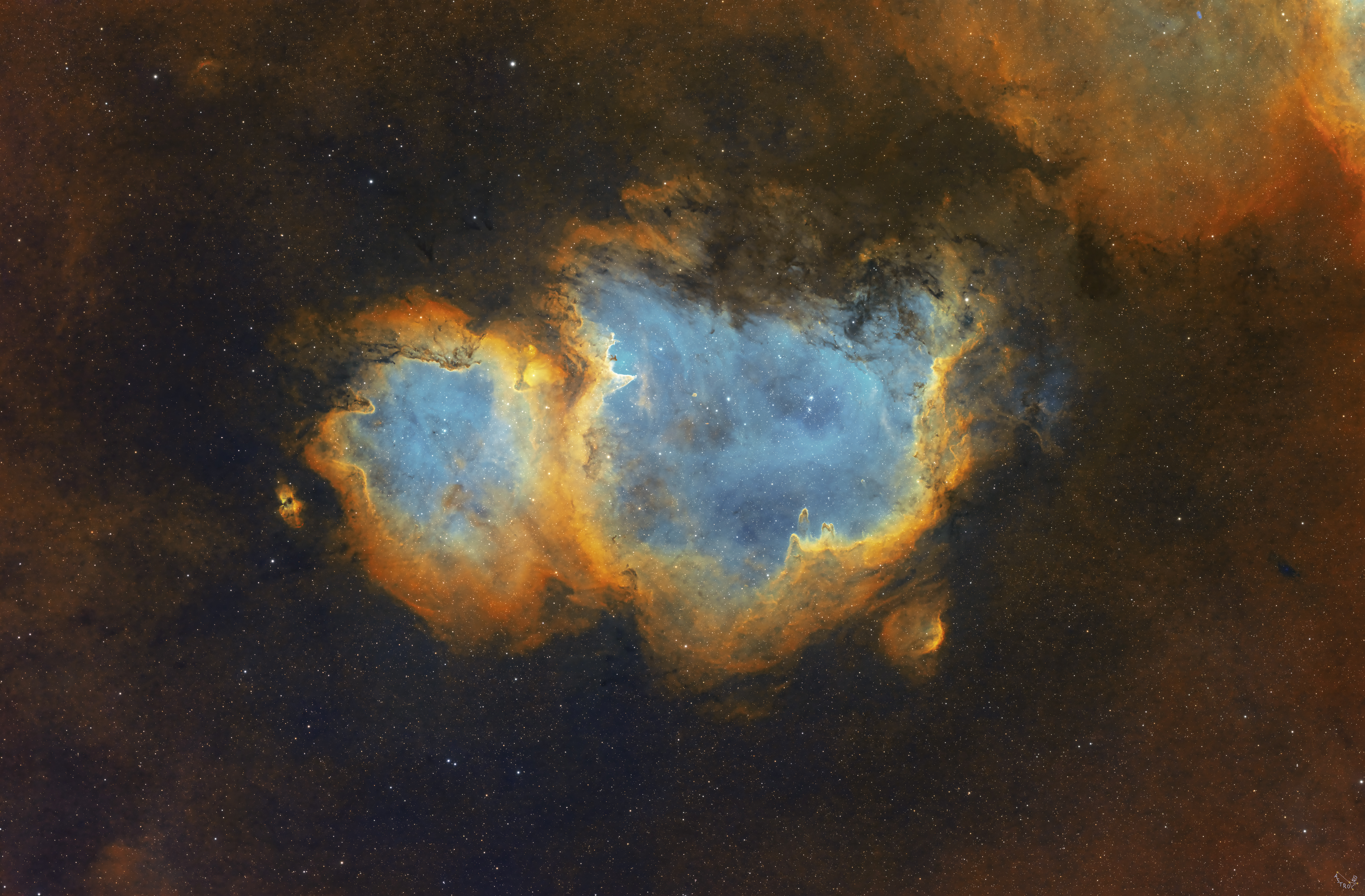 IC1848 SHO Full