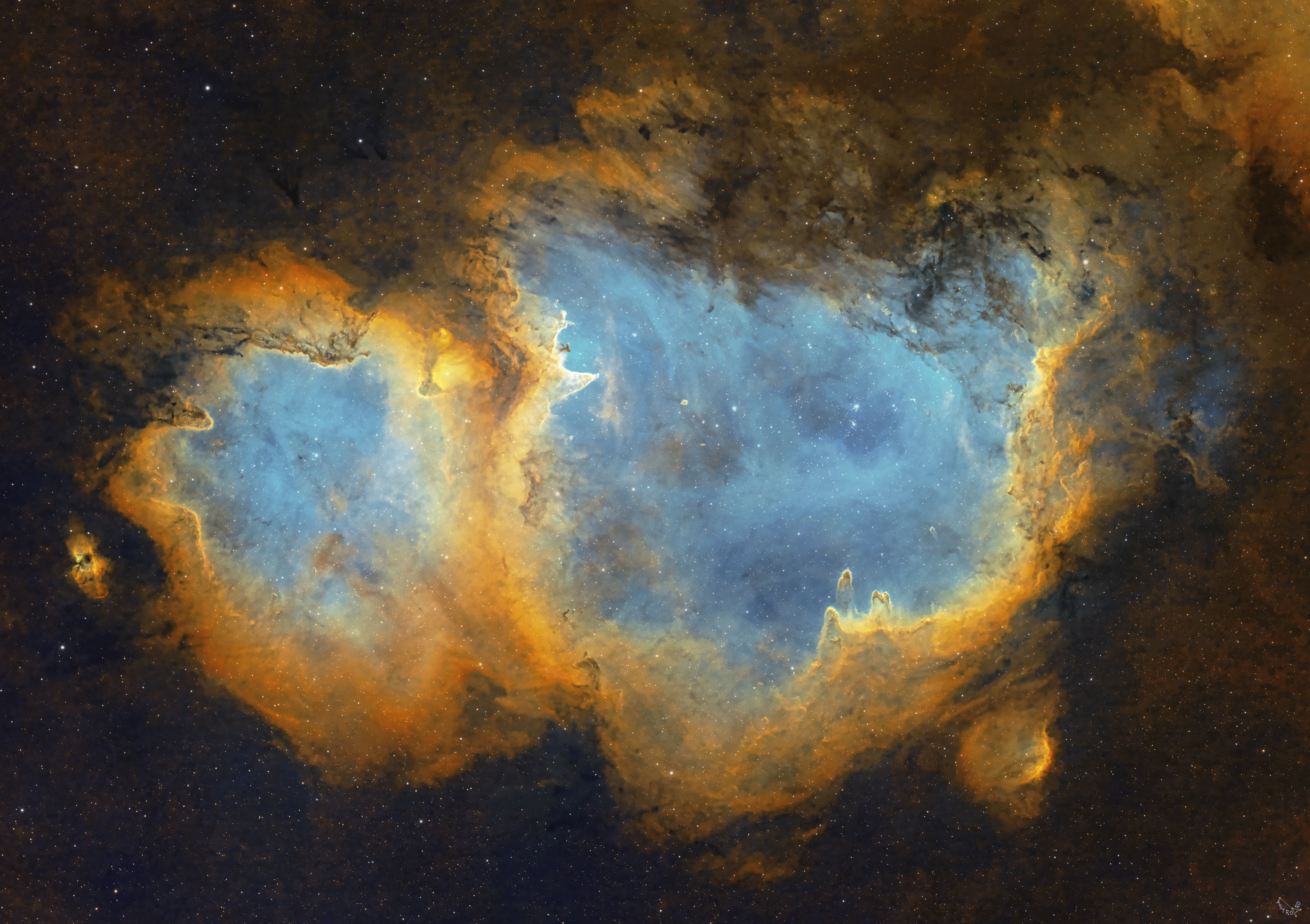 IC1848 SHO Crop