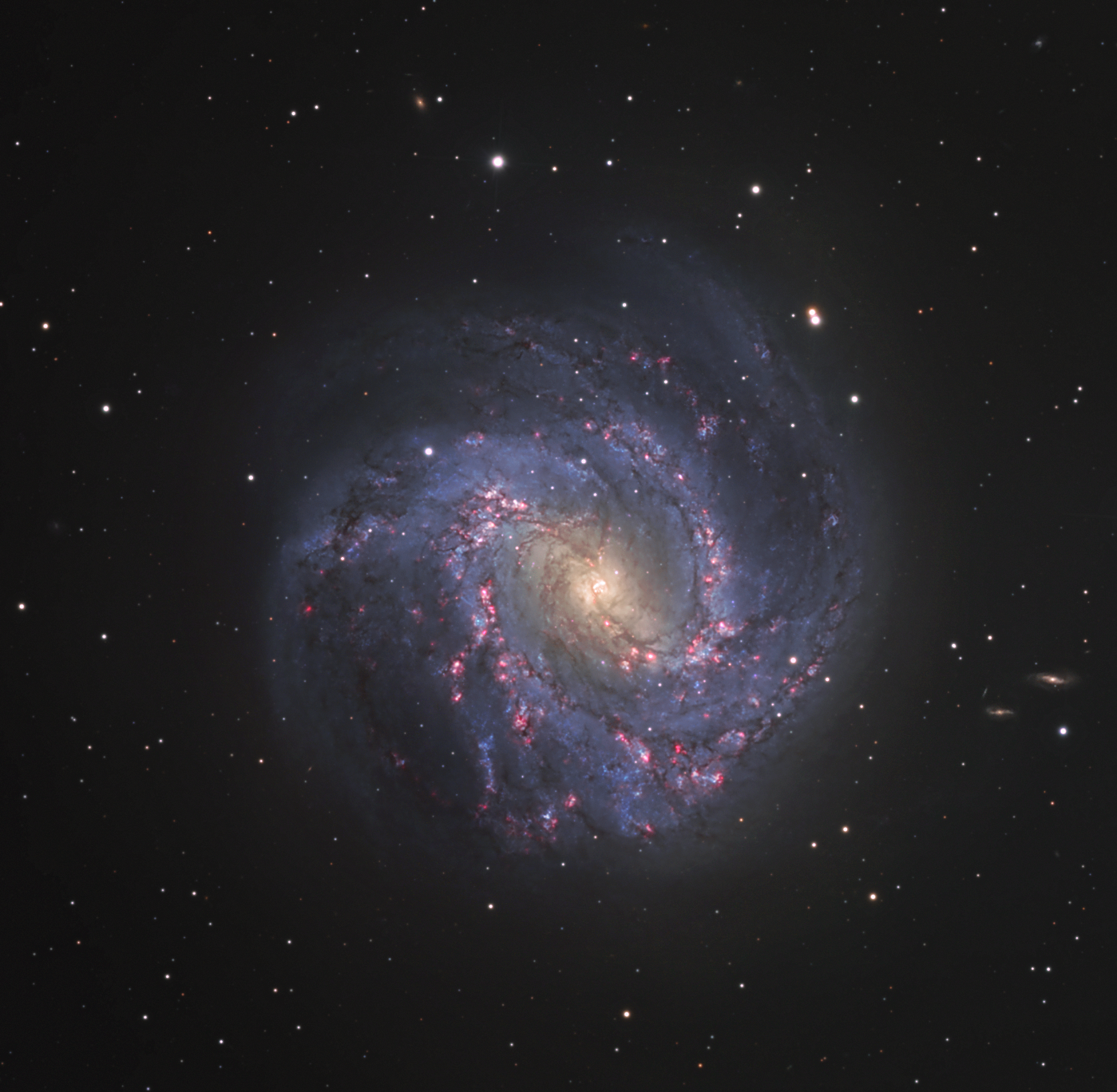 M83 Crop