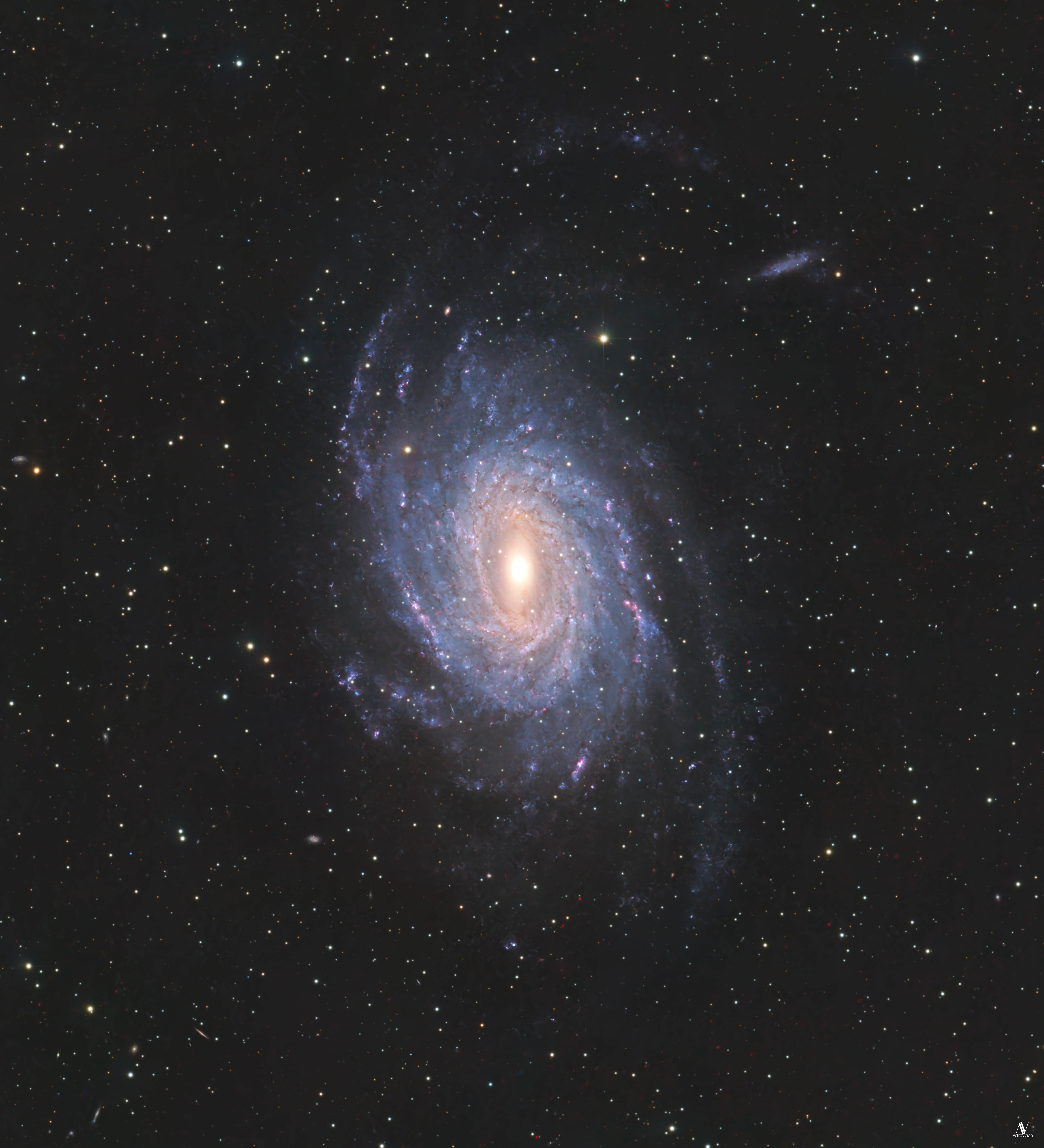 Ngc 6744 Crop