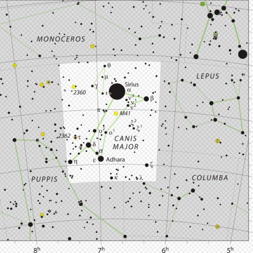 Constellation Canis Major